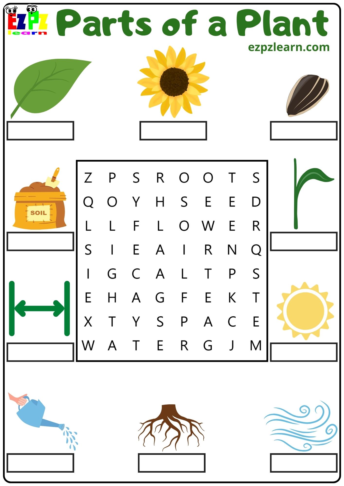 Parts of a Plant Word Search and Write the Words for Kids and English ...