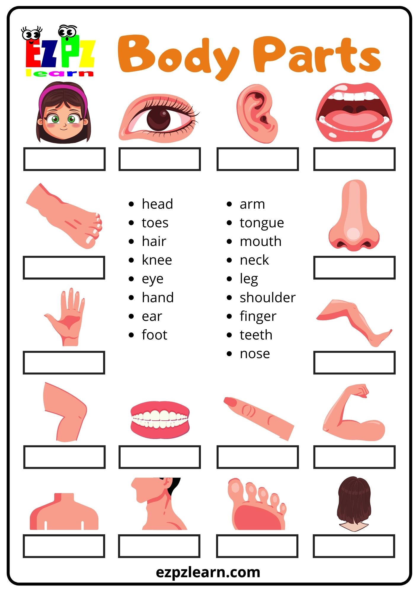 Body Parts Word Match - Ezpzlearn.com