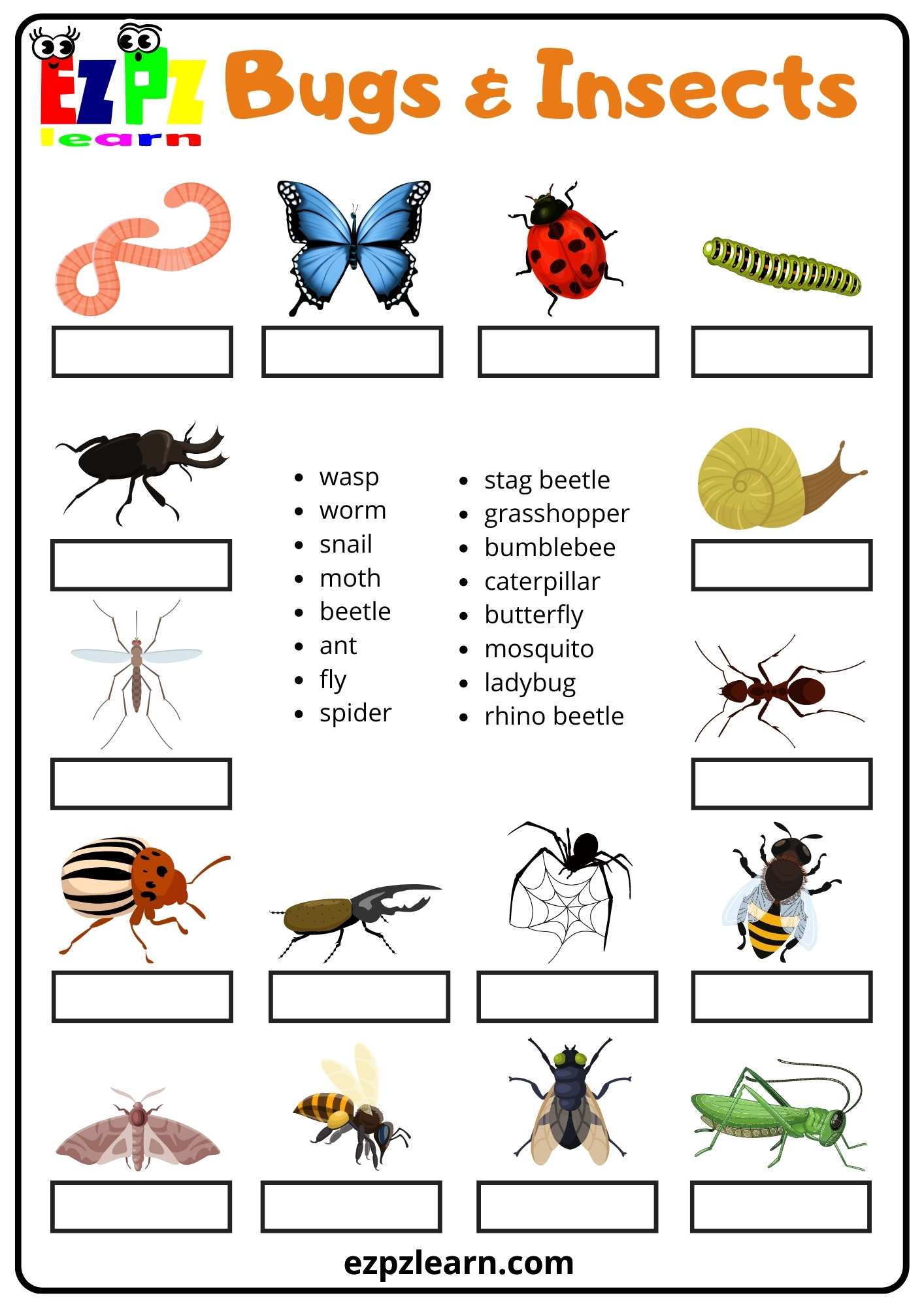 Insects bugs - ezpzlearn.com