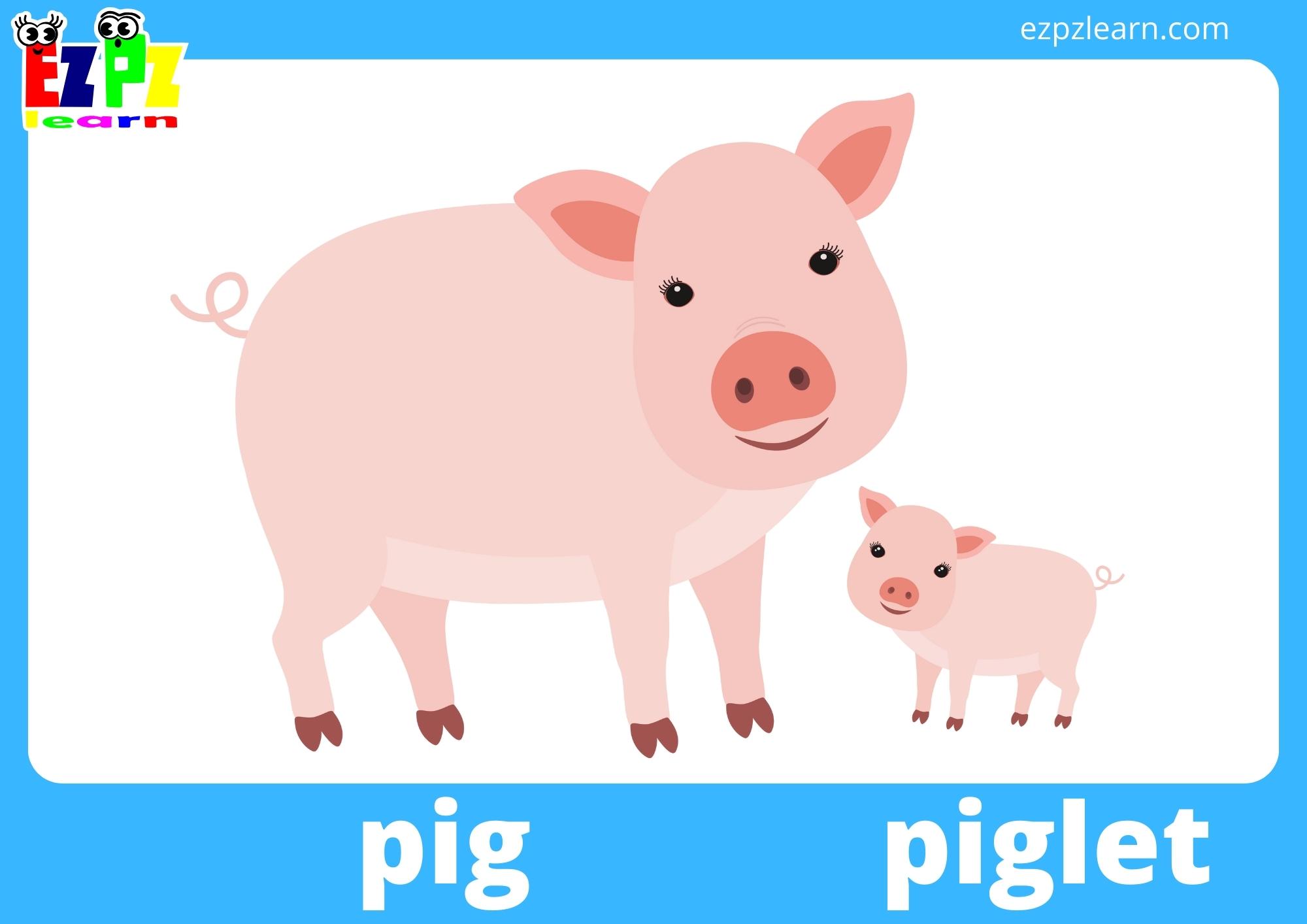 baby-animals-ezpzlearn-com for Free Printable Flashcards For Infants Baby Animals - Ezpzlearn.com for Free Printable Flashcards For Infants