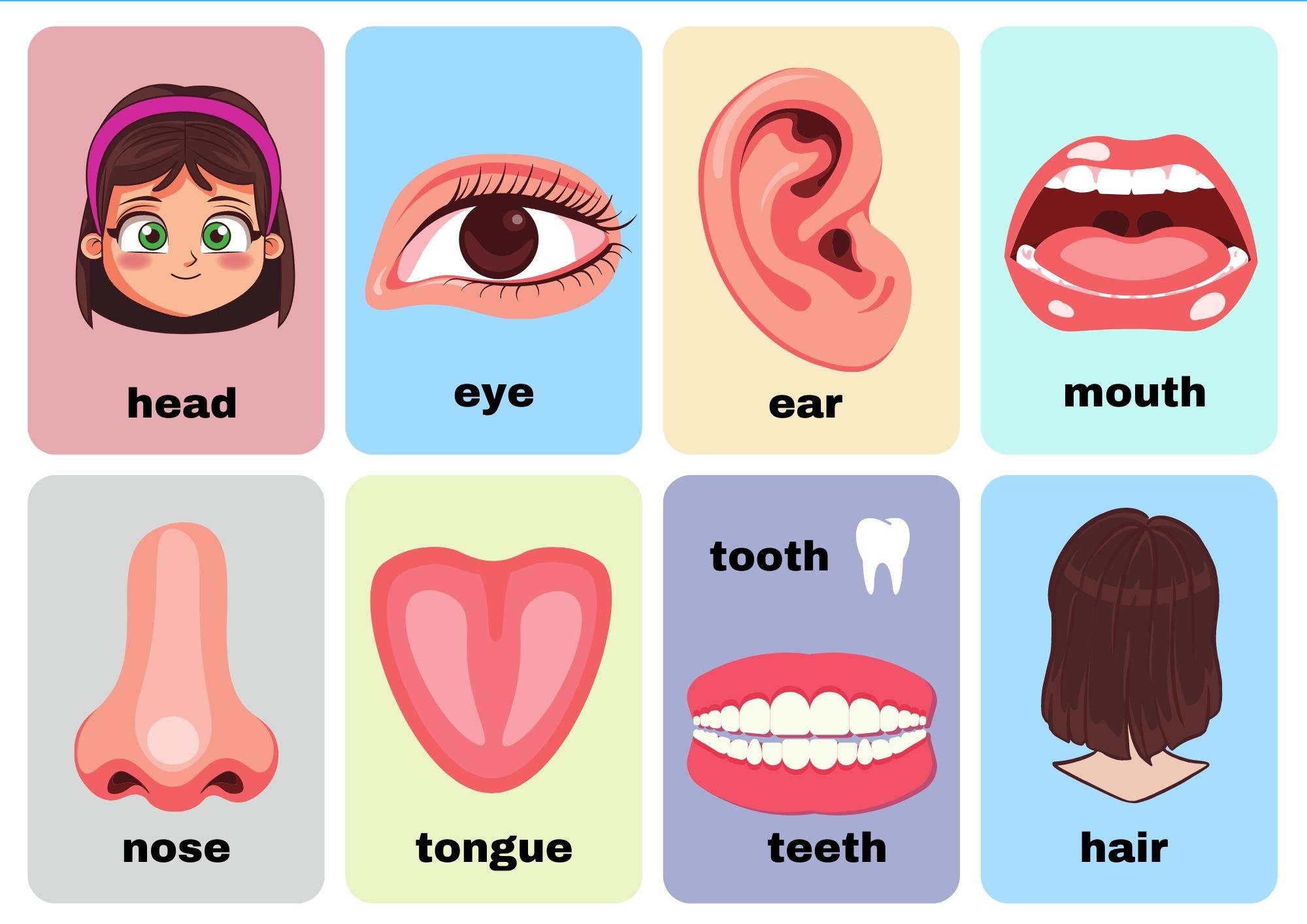 body-parts-flashcards-no-words-view-online-or-pdf-download-ezpzlearn-com