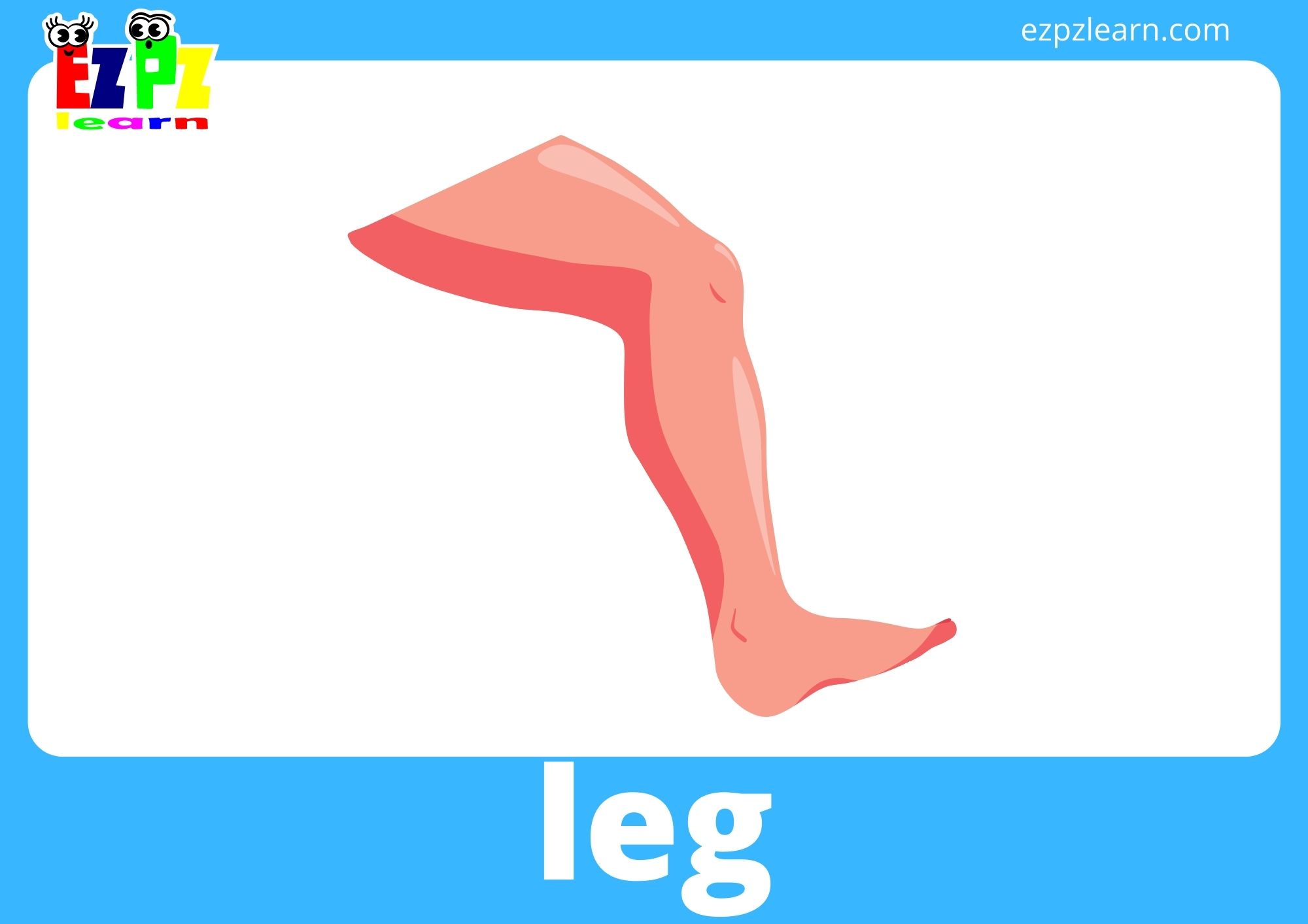 Body Parts Flashcards With Words View Online or PDF Download ...