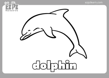 Dolphin Coloring Page